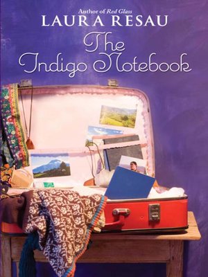 cover image of The Indigo Notebook